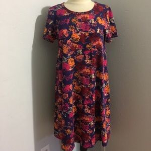 LuLaRoe Carly T-Shirt Dress